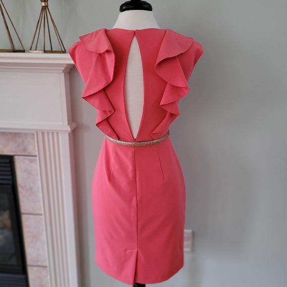 SOLD✅️CK☆Coral Sheath Dress - Picture 3 of 7